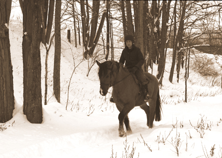 American Bashkir Curly Horse